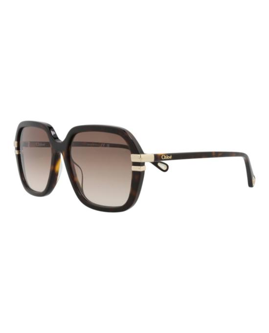  끌로에 선글라스 CH0204S 30014691 002 20355 NS Brown - CHLOE