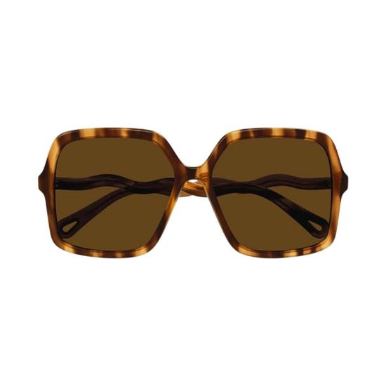  끌로에 안경 CH0086S005 BROWN - CHLOE