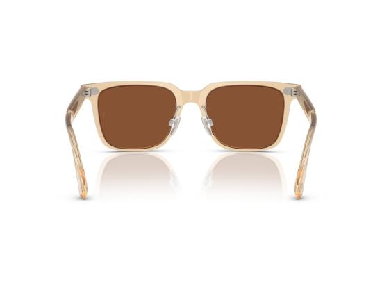 26SS 올리버피플스 선글라스 0Ov5592s 반투명 사각형 아세테이트 - OLIVER PEOPLES