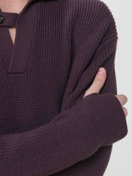 26FW 파올로 페코라 폴로 티셔츠 A031F009 4549 Violet - PAOLO PECORA