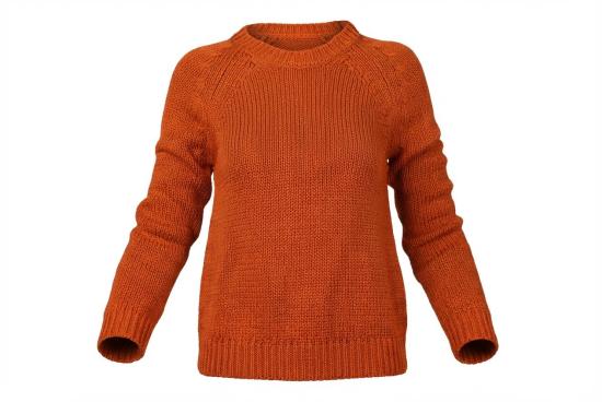  발렌티노 가라바니 스웨터 8052466825736 ORANGE