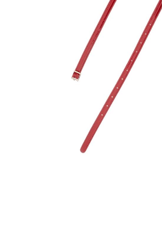 26FW 플랜씨 벨트 CNCCB02C00LV05700R60 Red - PLAN C