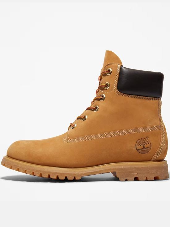 26FW 팀버랜드 6인치 레이스업 부츠 TB110361 Brown - TIMBERLAND