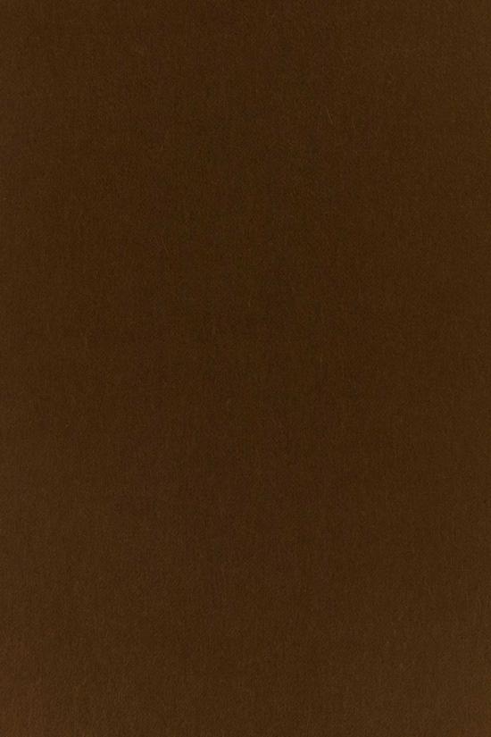 26FW 막스마라 달리아 캐시미어 머플러 2624546312600 042 Brown - MAX MARA
