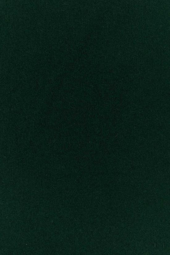 26FW 익스트림캐시미어 머플러/스카프 03518001TU10 FOREST Green - EXTREME CASHMERE