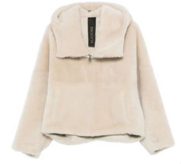 26FW 블랑샤 수트 자켓 26101 300 CIOCCOLATO