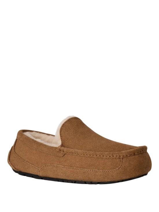 26FW 어그 애스코트 슬리퍼 1101110 CHE CHESTNUT - UGG