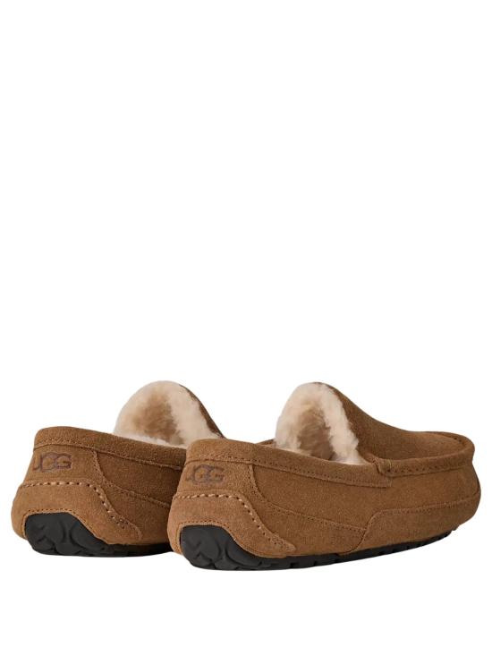 26FW 어그 애스코트 슬리퍼 1101110 CHE CHESTNUT - UGG